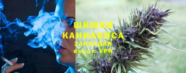 дурь Долгопрудный
